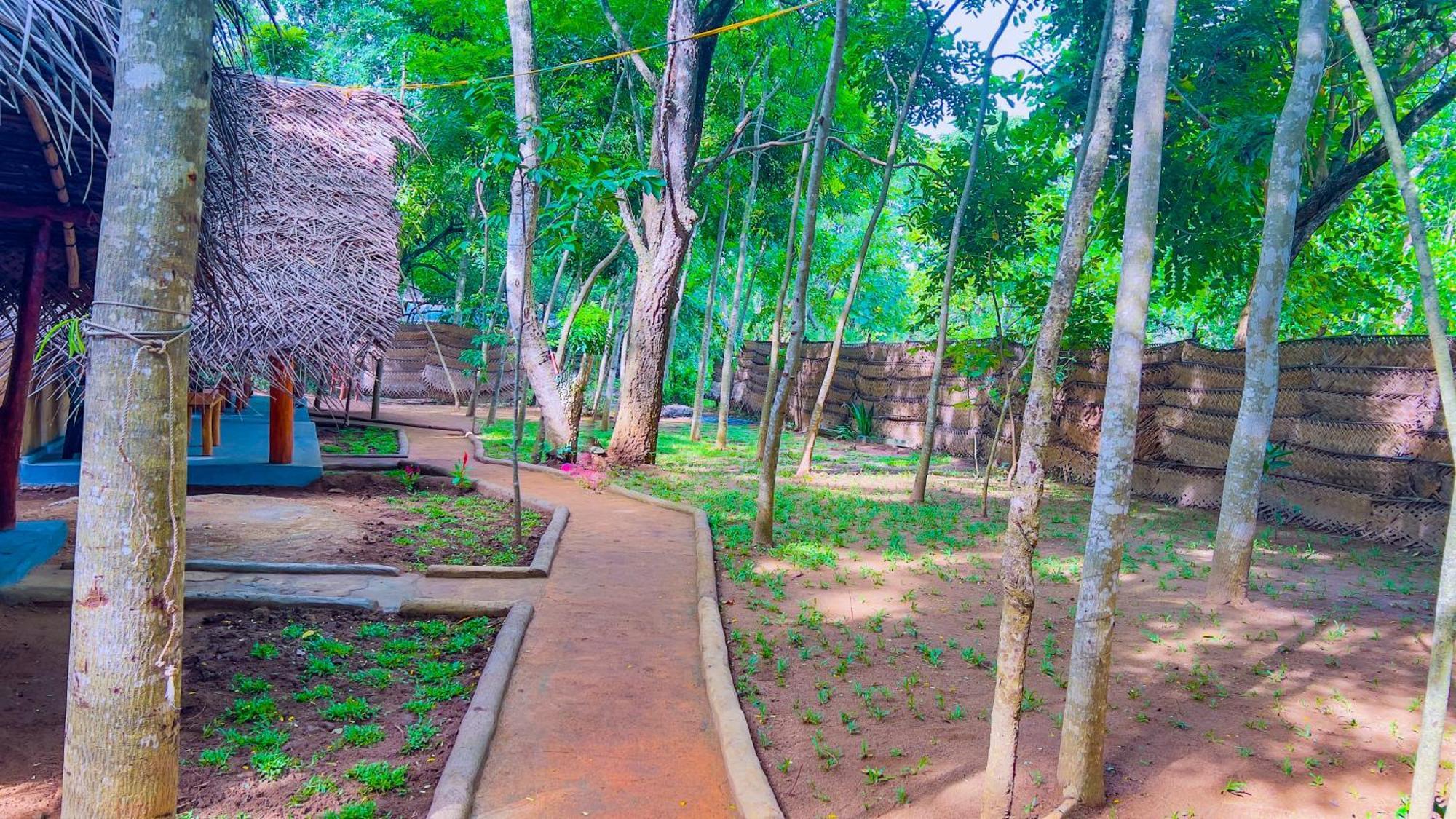 Jungle Host Hostel And Tree House Sigiriya Exterior photo